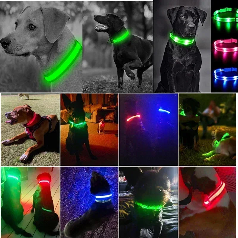 LED Glowing Adjustable Dog Collar