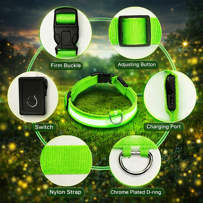 Light Up Safety Dog Collar