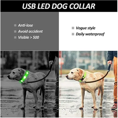 LED Glowing Adjustable Dog Collar