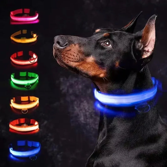 LED Glowing Adjustable Dog Collar
