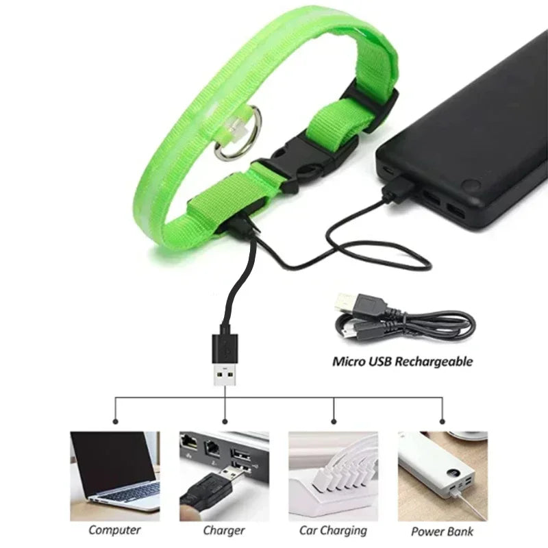 Light Up Safety Dog Collar