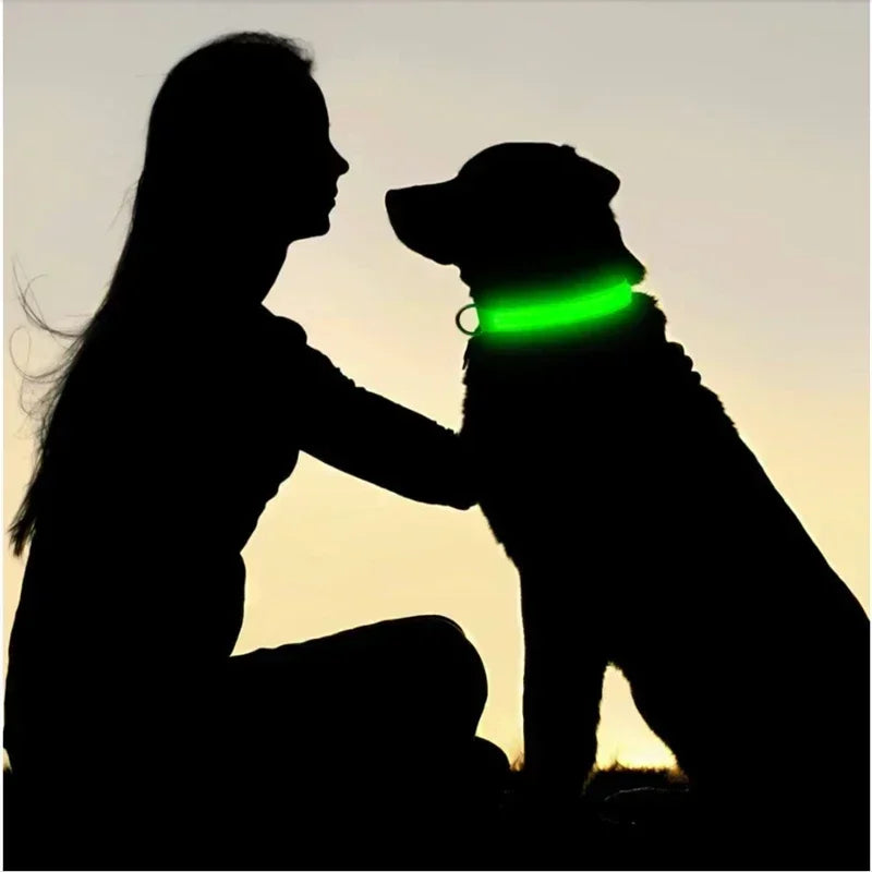 LED Glowing Adjustable Dog Collar