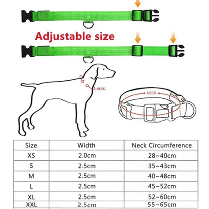 LED Glowing Adjustable Dog Collar