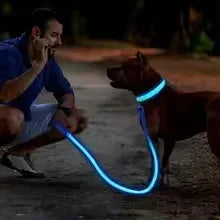 LED Glowing Adjustable Dog Collar