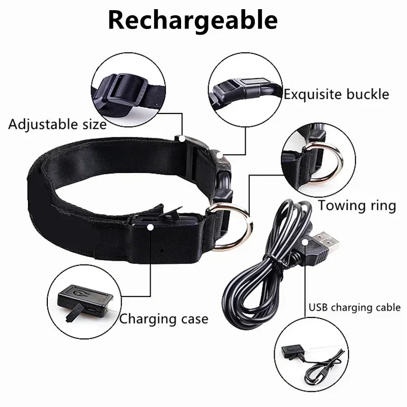 Light Up Safety Dog Collar