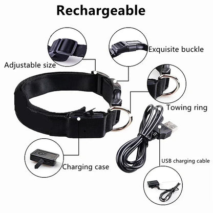 Light Up Safety Dog Collar