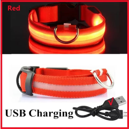 Light Up Safety Dog Collar