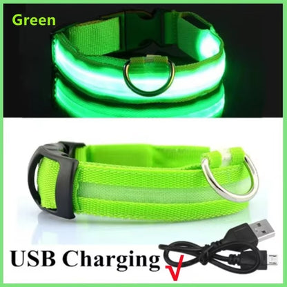 Light Up Safety Dog Collar