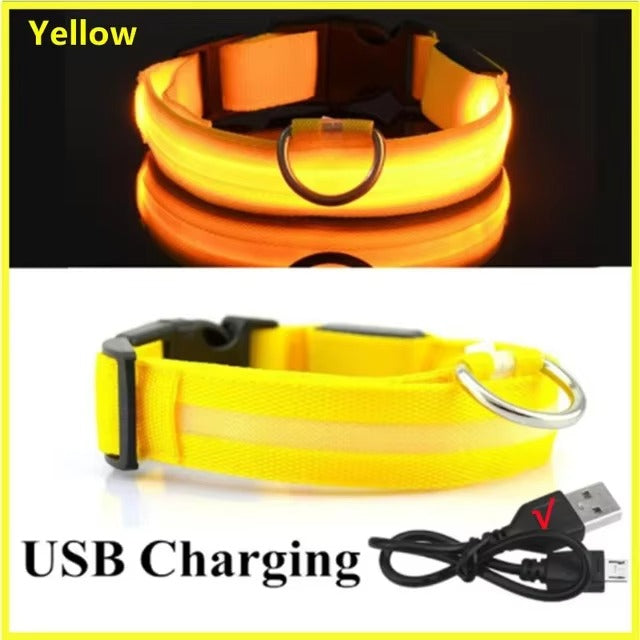 Light Up Safety Dog Collar