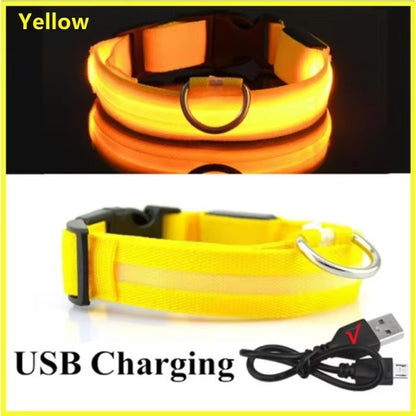 Light Up Safety Dog Collar