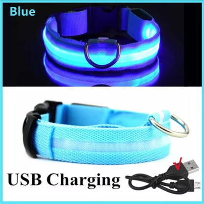 Light Up Safety Dog Collar