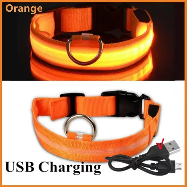 Light Up Safety Dog Collar