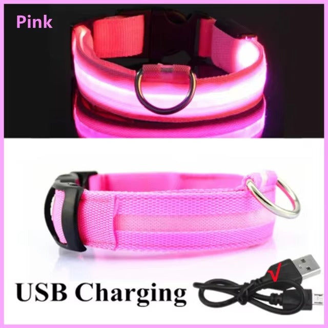 Light Up Safety Dog Collar