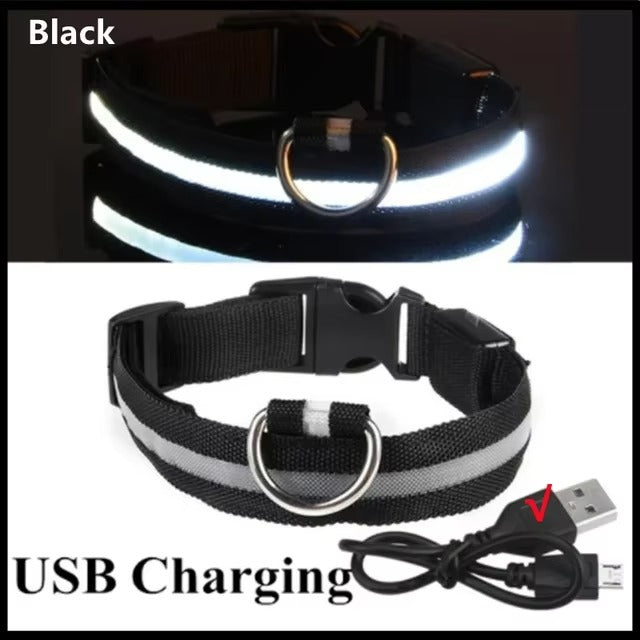 Light Up Safety Dog Collar